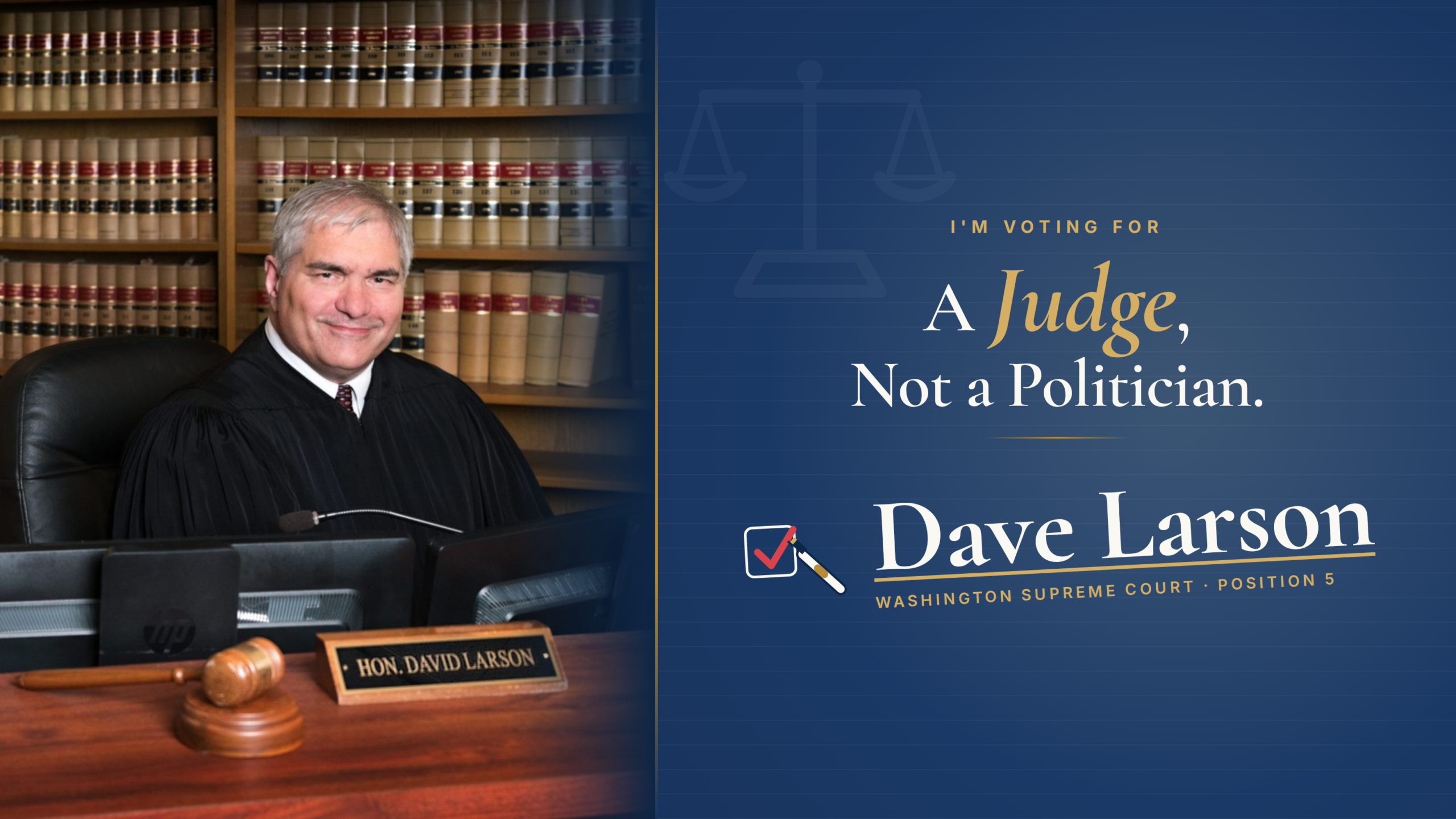 A Judge, Not a Politician graphic for Dave Larson, wide format